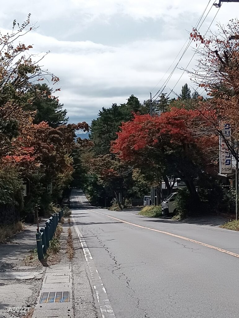 146号線の紅葉
